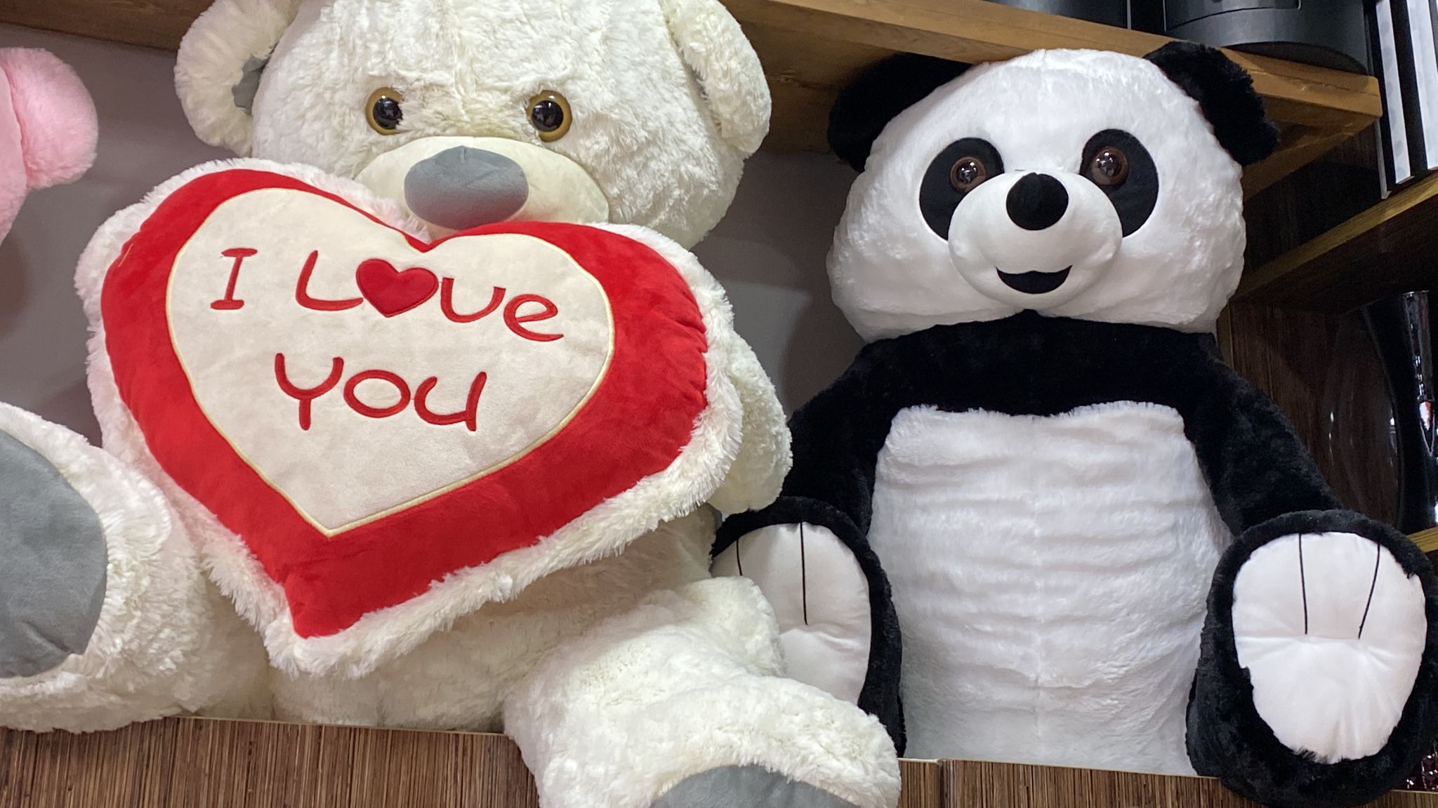 En Büyük Boy Ayıcık Panda
